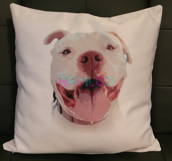 Custom Design Pillow (30% Off)